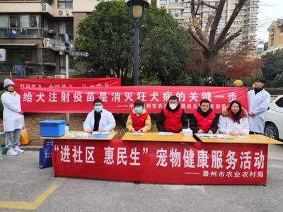 市农业农村局组织开展犬防进社区服务活动 提升居民养犬安全意识